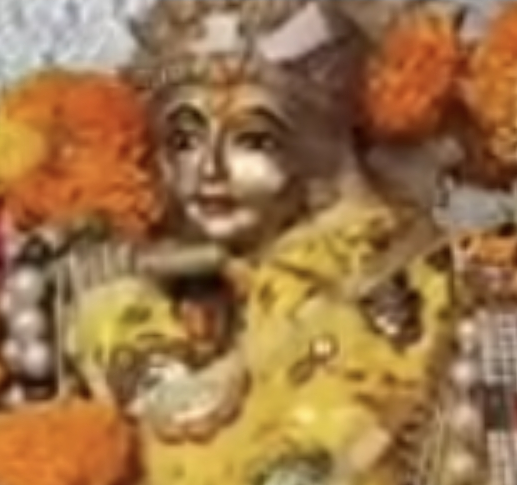 जालौन में राधाष्टमी पर निकली भव्य रथयात्रा, सैकड़ों भक्तों ने खींचा रथ